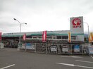 ｺﾒﾘﾊｰﾄﾞｱﾝﾄﾞｸﾞﾘｰﾝ辰野店(電気量販店/ホームセンター)まで2263m エスポワール星南