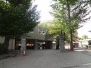伊那市立伊那小学校(小学校)まで1465m ヴィオーラ御園