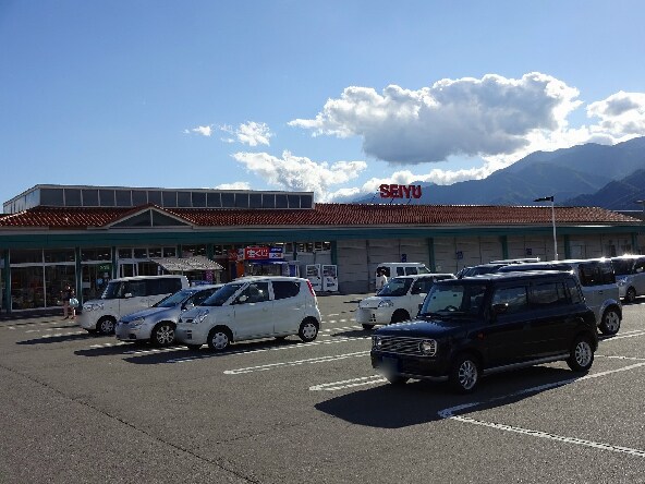 西友 伊那竜東店(スーパー)まで119m 飯田線（長野県内）/伊那市駅 徒歩20分 1階 築5年