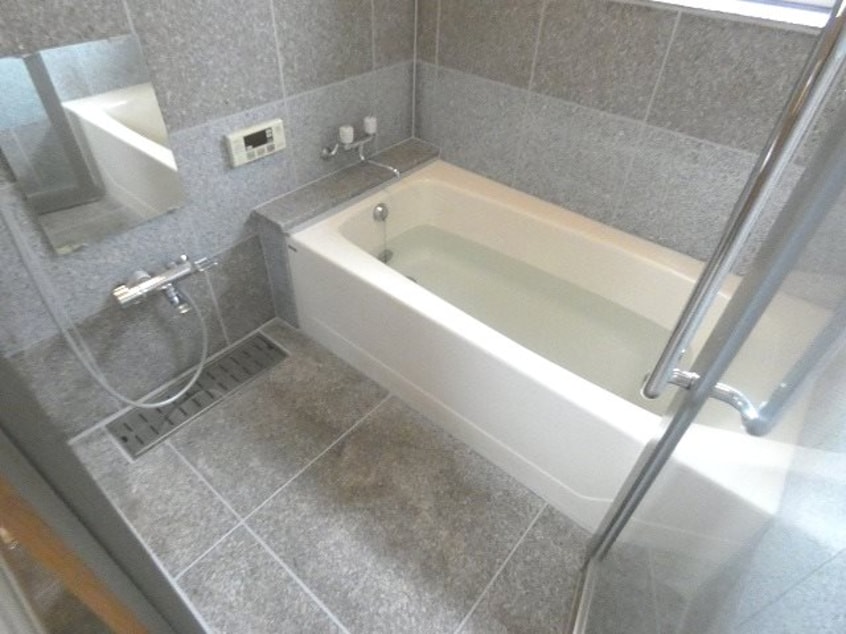  ナトゥーア大芝II