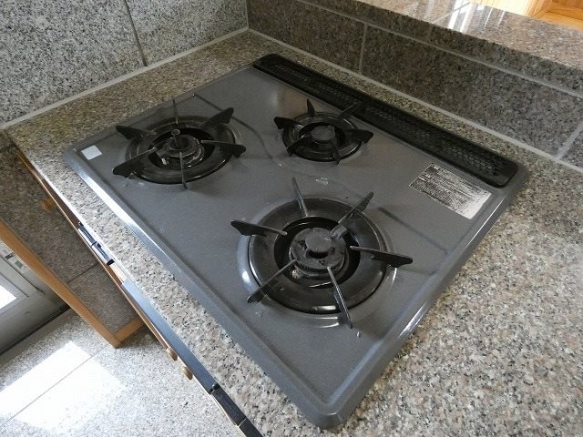  ナトゥーア大芝II