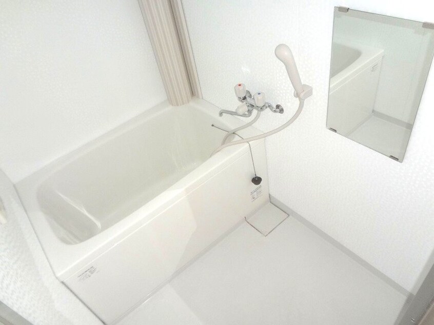  ビューソフィア