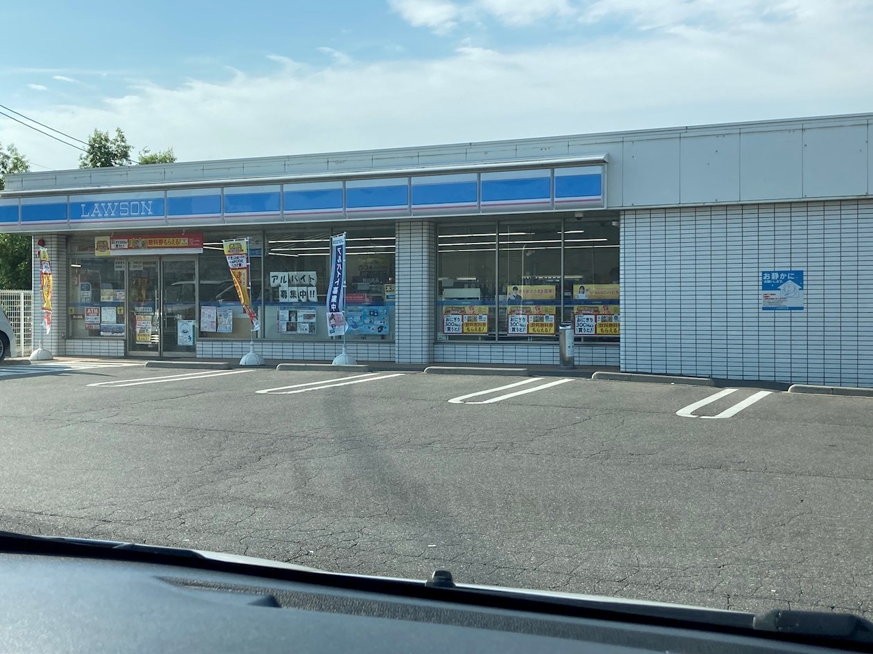 ﾛｰｿﾝ 松本井川城店(コンビニ)まで698m ブリリアントY　B棟