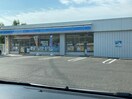 ﾛｰｿﾝ 松本井川城店(コンビニ)まで698m ブリリアントY　B棟