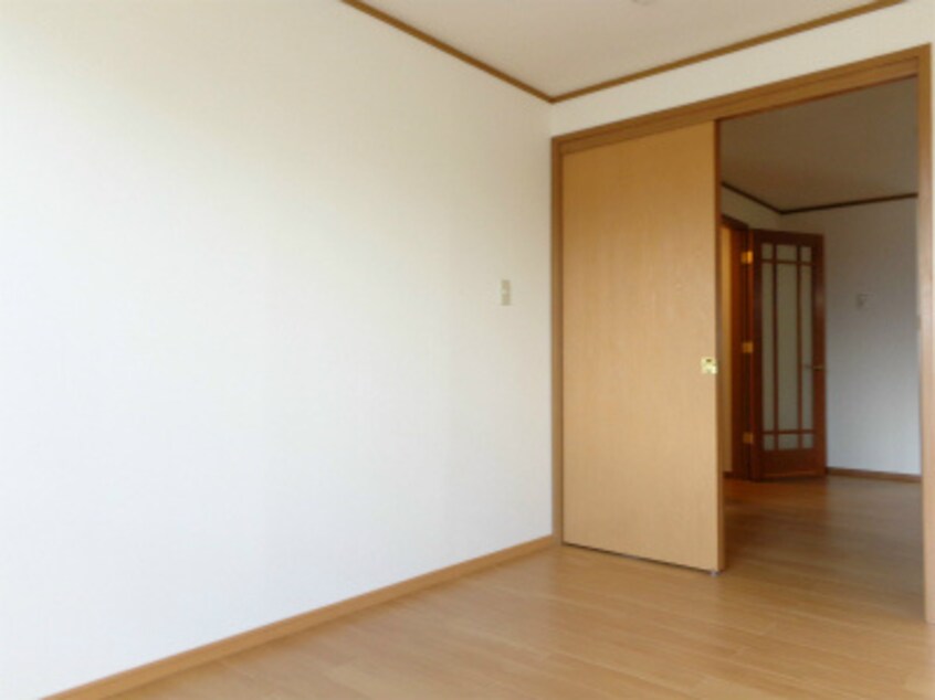  モルティ・カミジマ