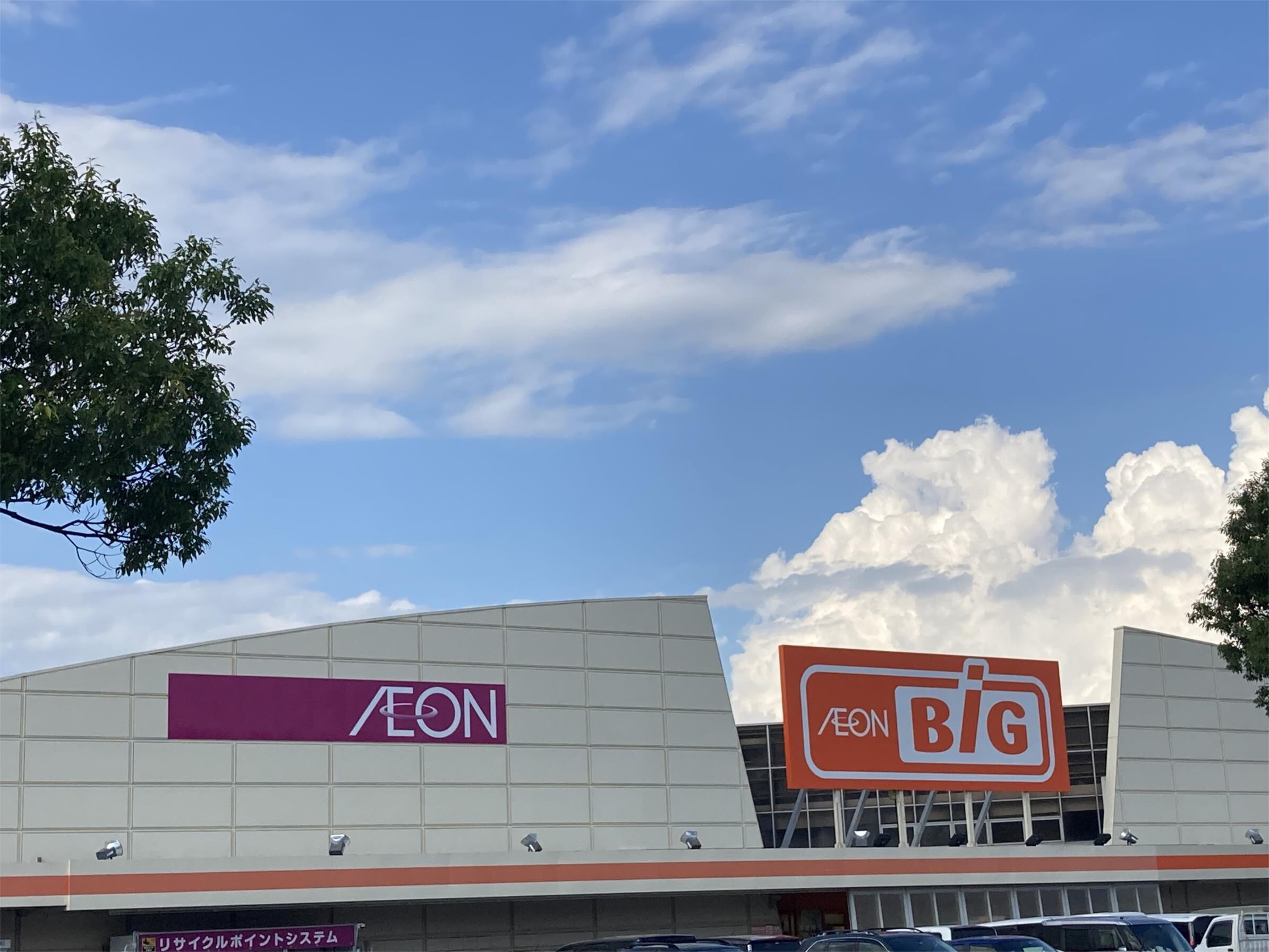 The Big（ｻﾞ･ﾋﾞｯｸﾞ） 山形店(スーパー)まで2088m Villa Koshin