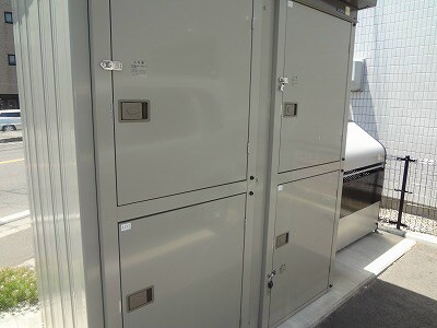  オーチャード桐