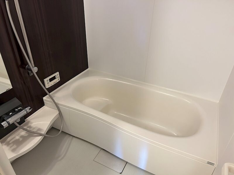  Ciel Fujisaki（シエル　フジサキ）