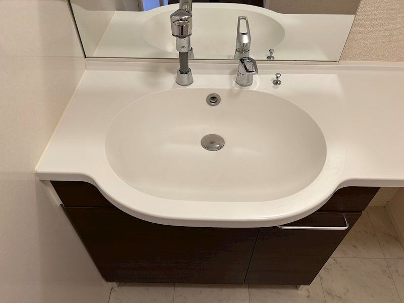  Ciel Fujisaki（シエル　フジサキ）