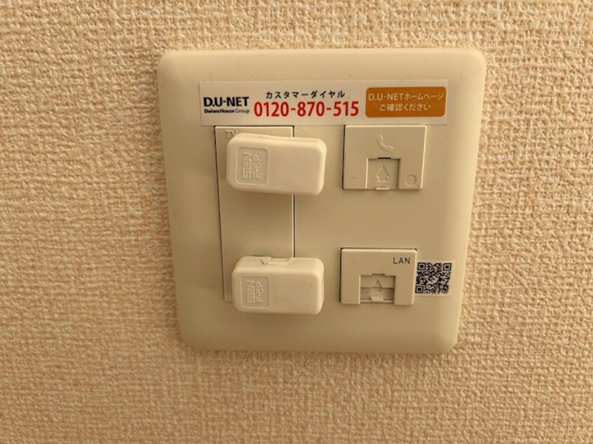  Ciel Fujisaki（シエル　フジサキ）