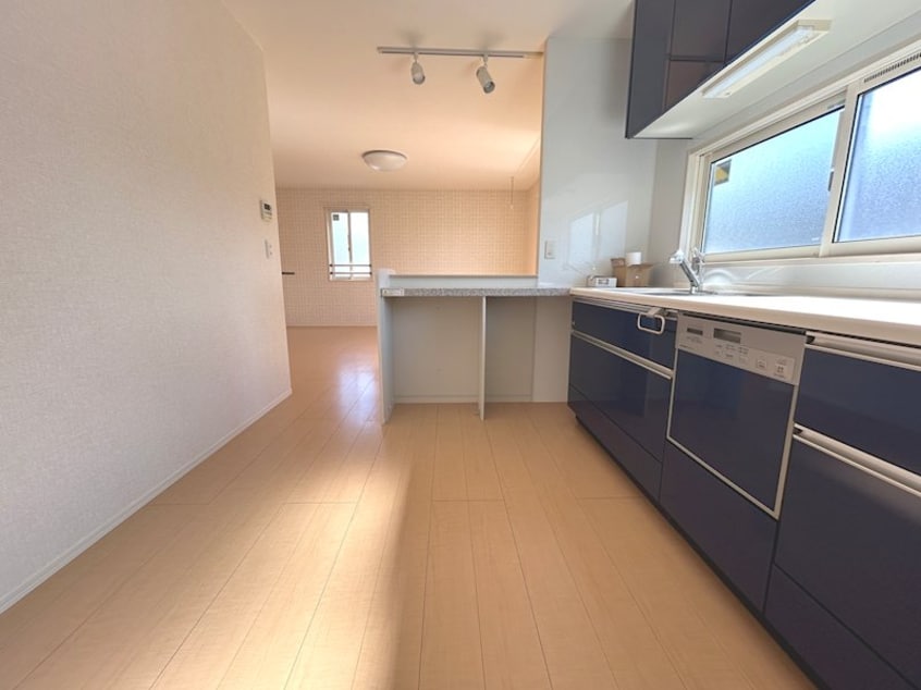  Ciel Fujisaki（シエル　フジサキ）