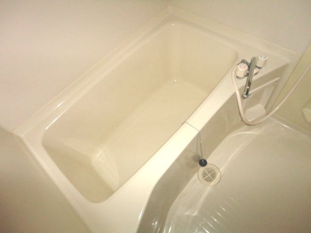  エルピスフタゴ