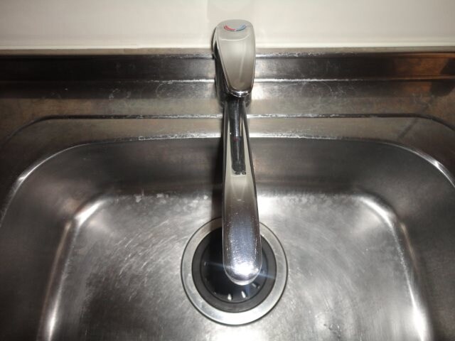  エルピスフタゴ