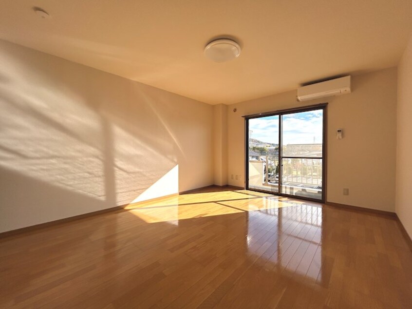  リトルベア並柳