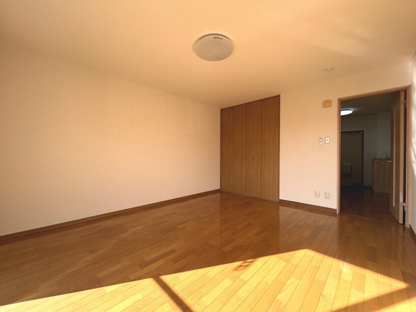  リトルベア並柳