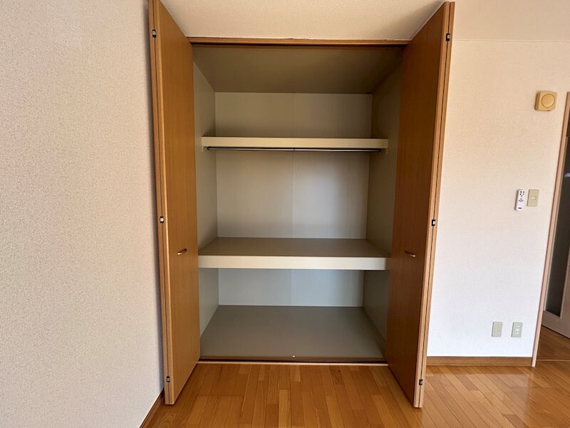  リトルベア並柳