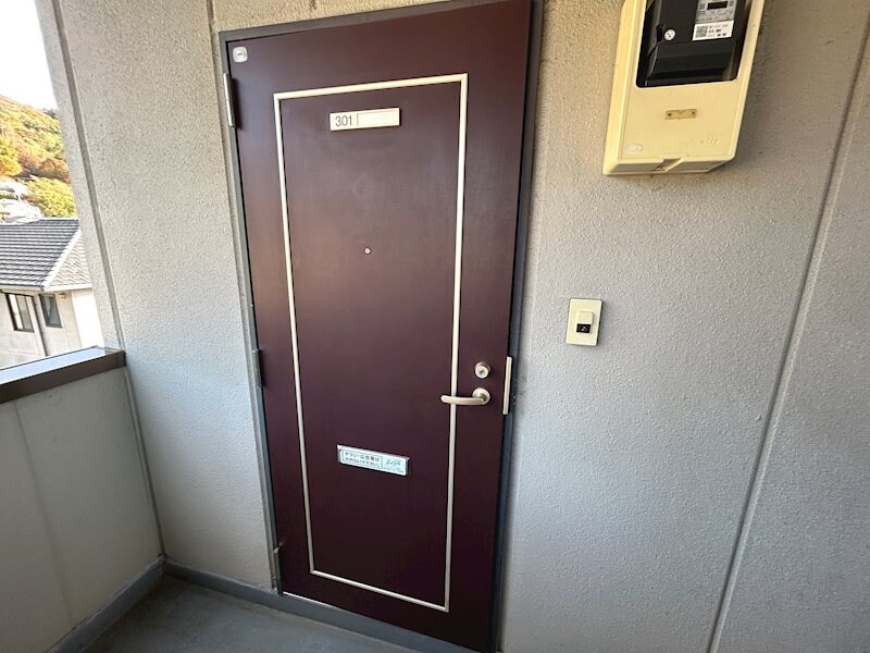  リトルベア並柳