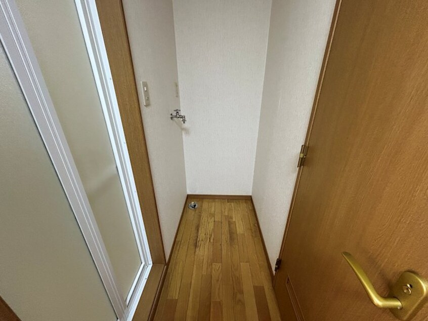  リトルベア並柳