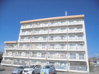 コーポイワマアメニー