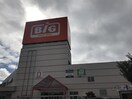 ｻﾞ･ﾋﾞｯｸﾞ 三郷店(スーパー)まで1141m カトル　セブン　Ｂ