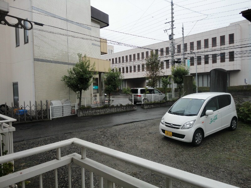  ホワイト・ぴじょん