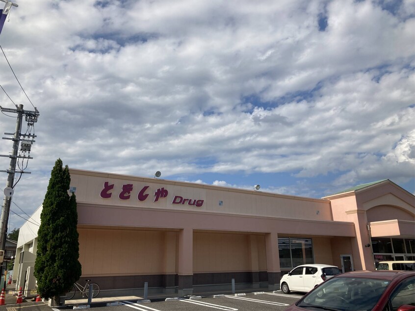 ｸｽﾘのとをしや薬局 松本高宮店(ドラッグストア)まで307m 石芝イン・北