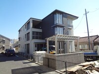 シュロスカエデ