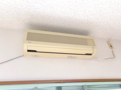  パレスエムズ