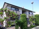 ハイカムールの外観