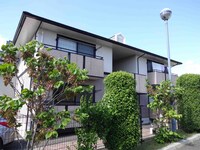 ハイカムール
