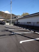  クリアネス・ボアB