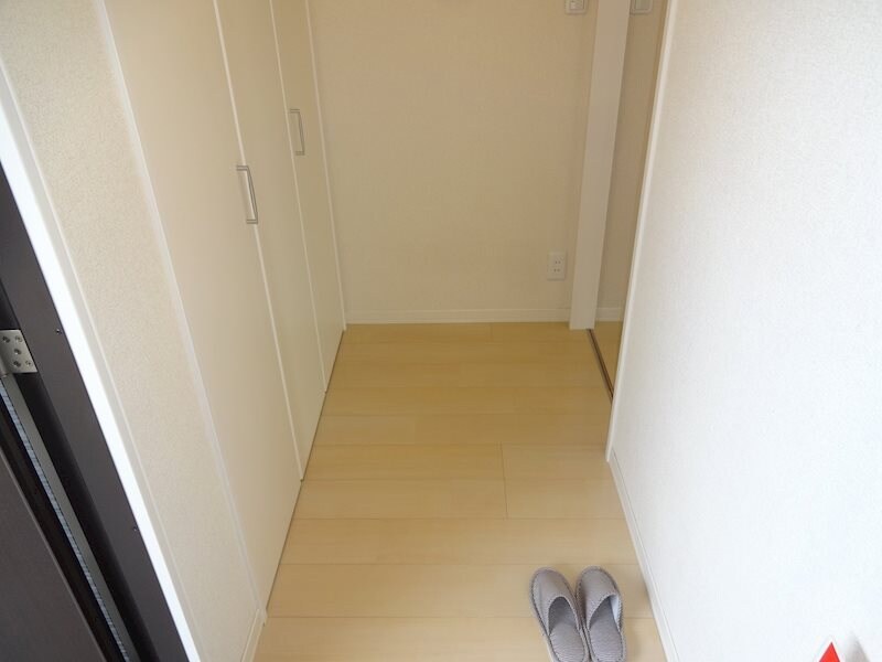  サウスウインド