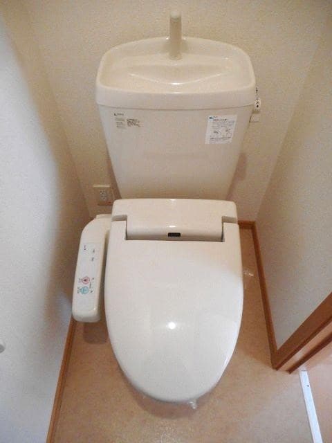  モルティ・カミジマD