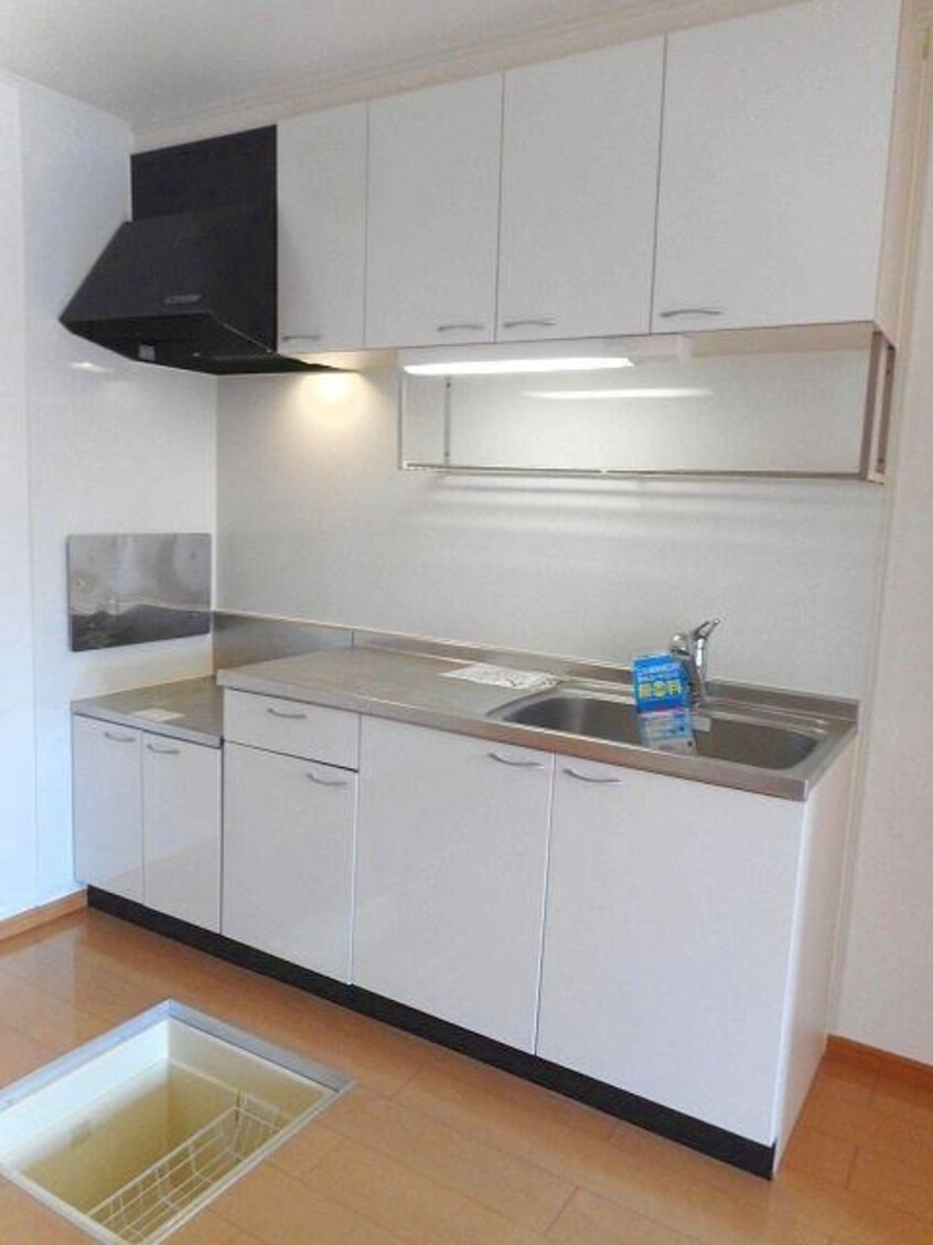  モルティ・カミジマD