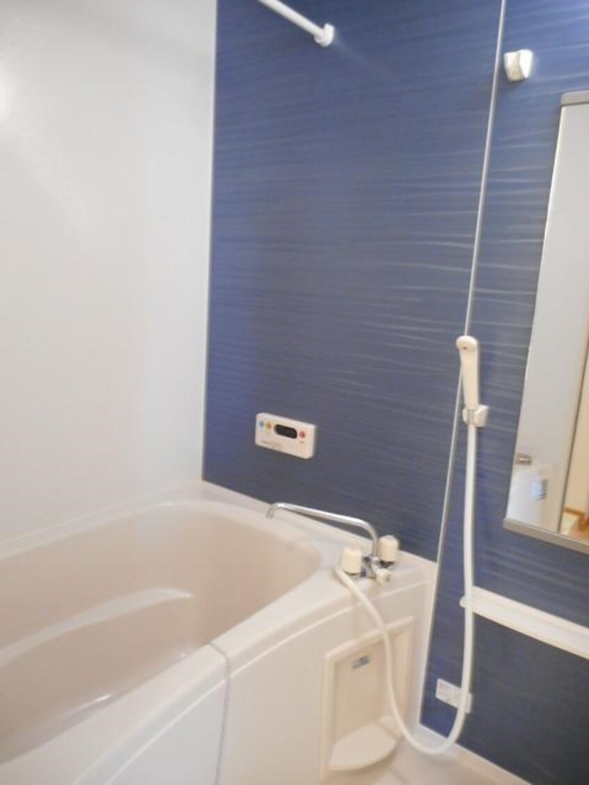  モルティ・カミジマD