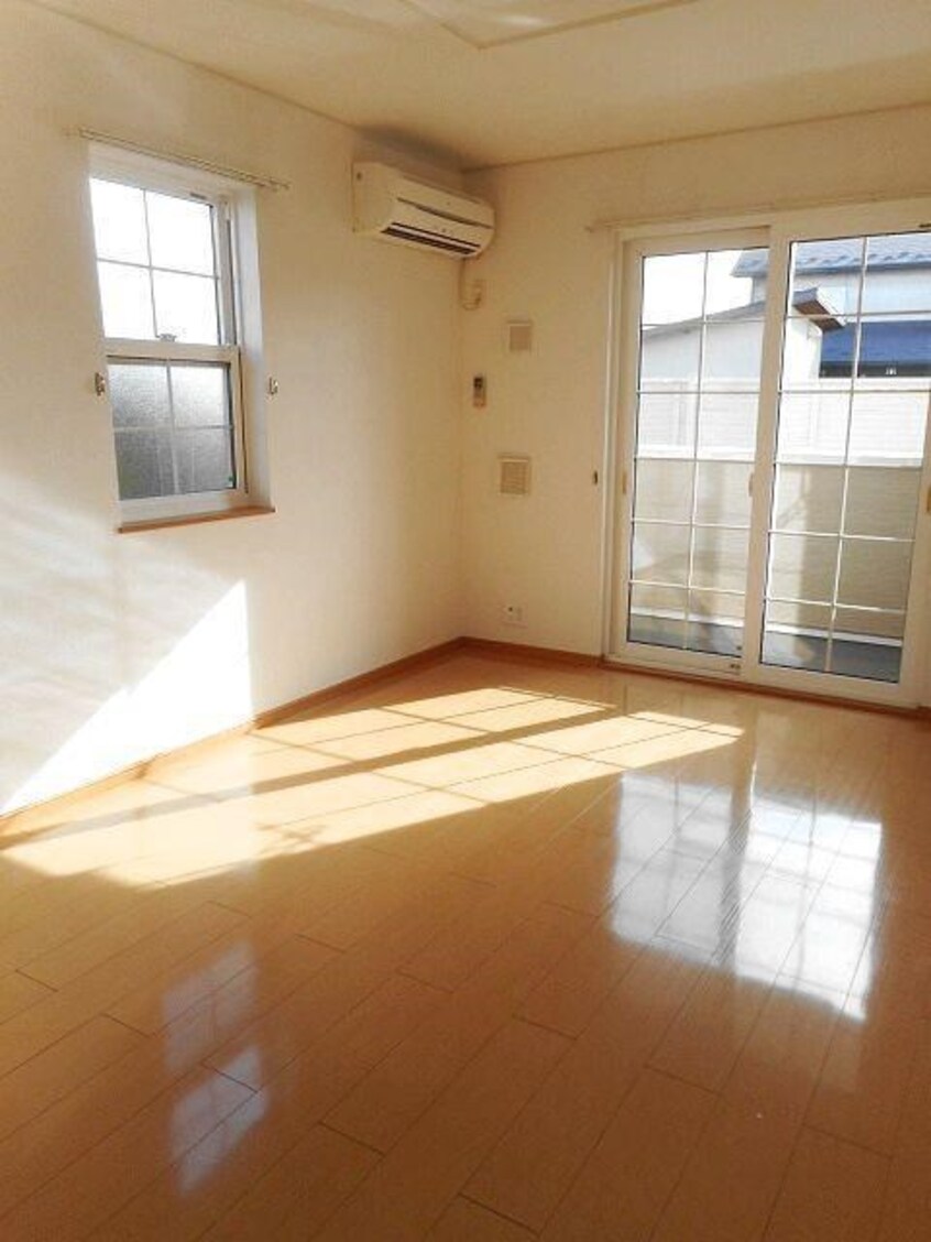  モルティ・カミジマD