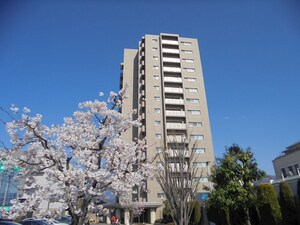サーパス高宮