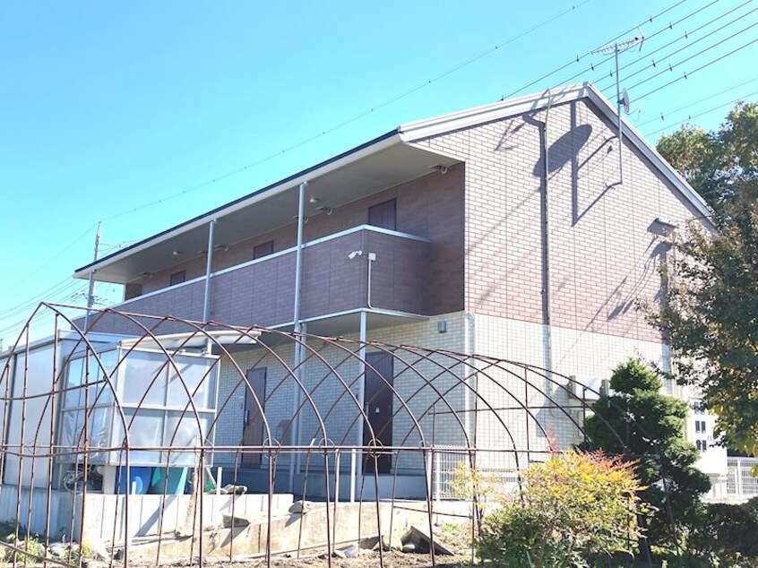  ルーチェ・ソラーレ