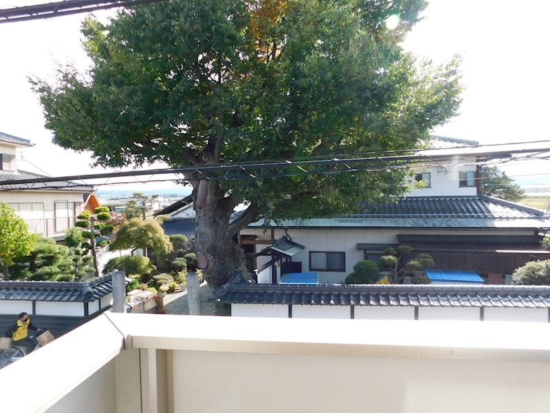  ルーチェ・ソラーレ