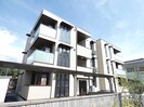 ステラ白板の外観