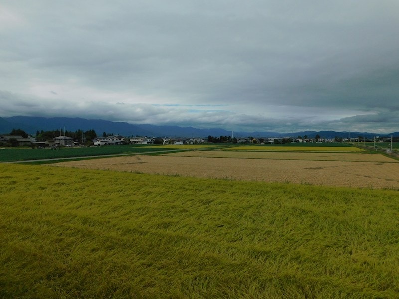  らいちょう三郷１号
