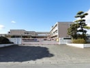 伊勢崎市立坂東小学校(小学校)まで1350m シーダーハウスⅡ（八斗島町）