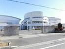 伊勢崎市立宮郷第二小学校(小学校)まで740m ウィルA（連取町）