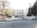 伊勢崎市立あずま小学校(小学校)まで1050m グランチェスタ恵（西小保方町）