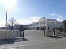 伊勢崎市立宮郷小学校(小学校)まで470m シルフィードＡ（田中島町）