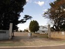 伊勢崎市立境小学校(小学校)まで560m カルム（境）