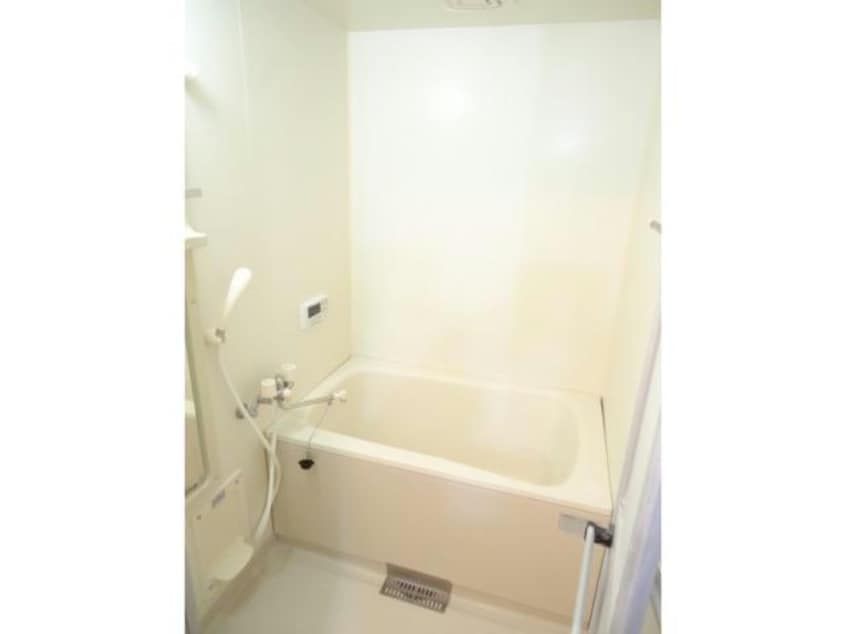  プラッツキーファー