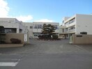 伊勢崎市立殖蓮第二小学校(小学校)まで260m レ・ジュウィールアン（下植木町）