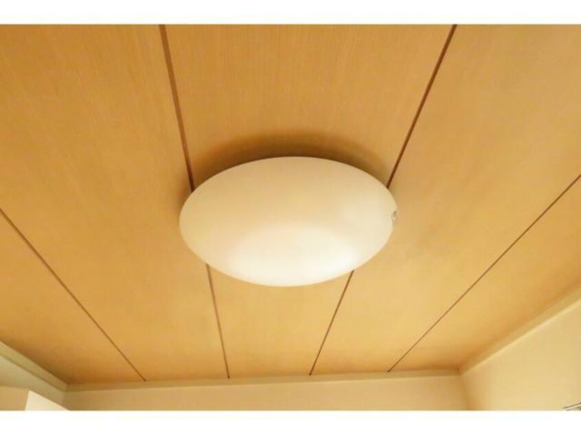 照明器具付き サントノーレA（宮子町）