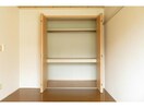 東側洋室収納 サントノーレA（宮子町）